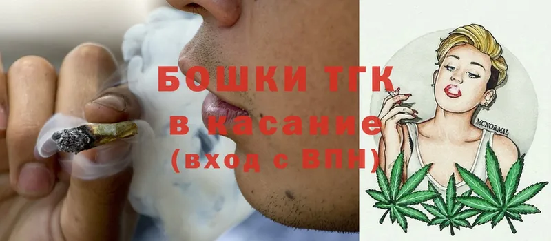 Канабис SATIVA & INDICA  Гай 